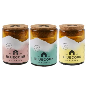 Beeswax Botanica in Blown Glass - 8oz Warming Trio - Vanilla, Spruce & Spice