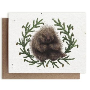 North American Porcupine & Hemlock | Plantable Herb Seed Card